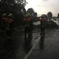 unwetter_239_3.jpg